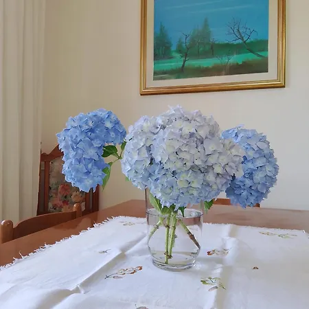 Rosandra Pizzorne Valgiano